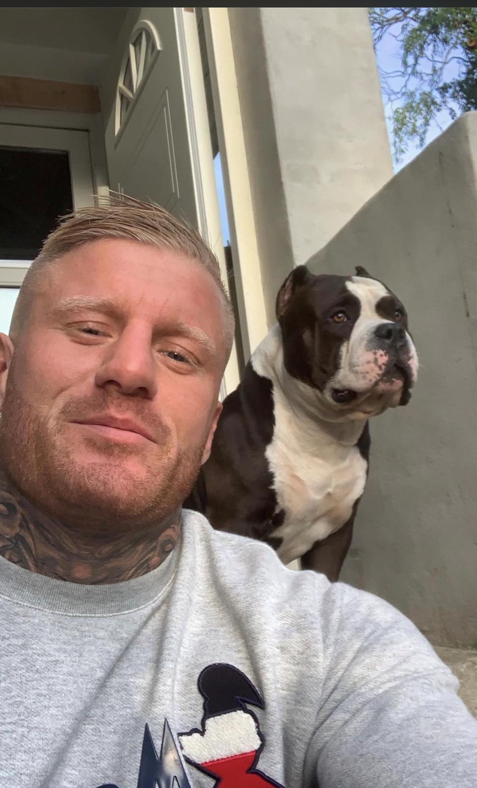 American Bully Hublot billede 13