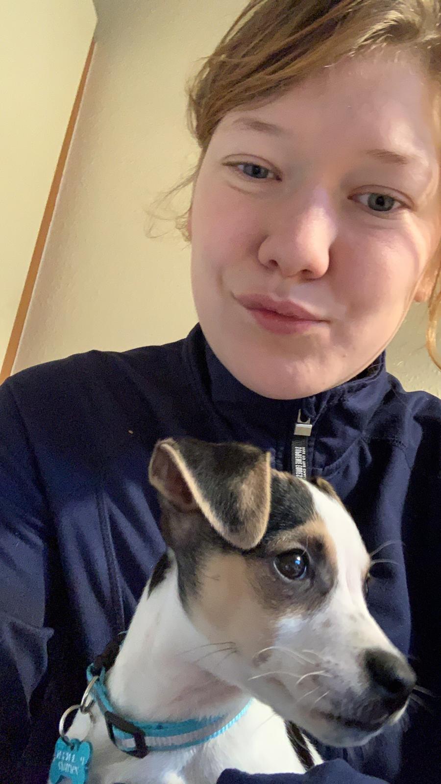 Dansk svensk gaardhund Milo billede 17