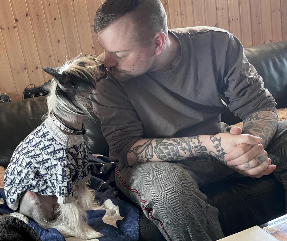 Chinese crested hårløs Sully billede 44