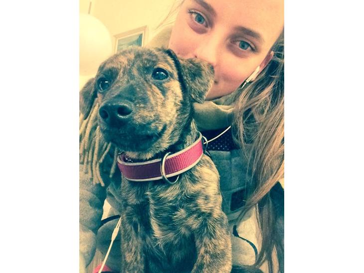 {{currentPhoto.altText}} billede {{currentPhoto.number}}