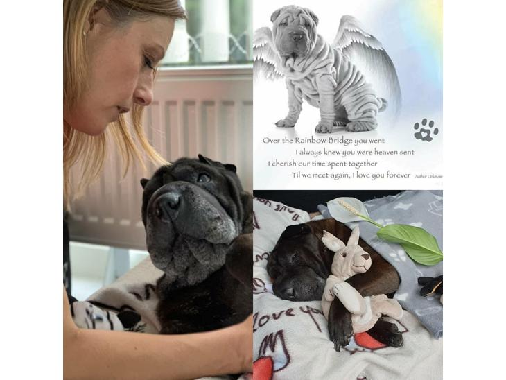 {{currentPhoto.altText}} billede {{currentPhoto.number}}