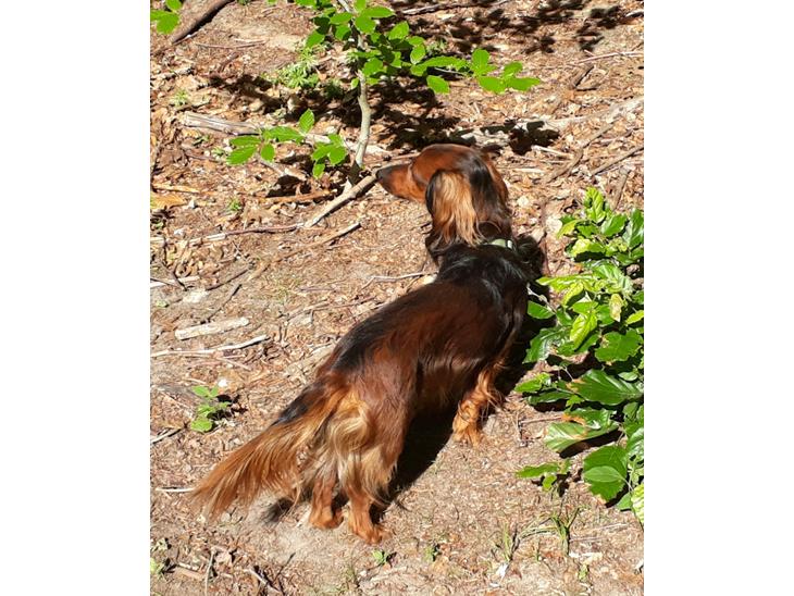 {{currentPhoto.altText}} billede {{currentPhoto.number}}