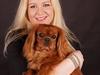 Cavalier king charles spaniel Mokka [ Himmelhund]