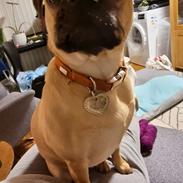 Blanding af racer Bailay