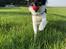 Blanding af racer Ruffi