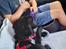 Labrador retriever Svendsen 
