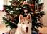 Siberian husky Mesmocan Red Sixteen (Luna) 