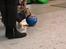 Chihuahua Hello World Duck Quacks Don't Echo