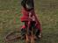 Dobermann Penny von Engelhardt - 4,5 mdt