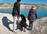 Labrador retriever Balder