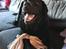 Labrador retriever Balder