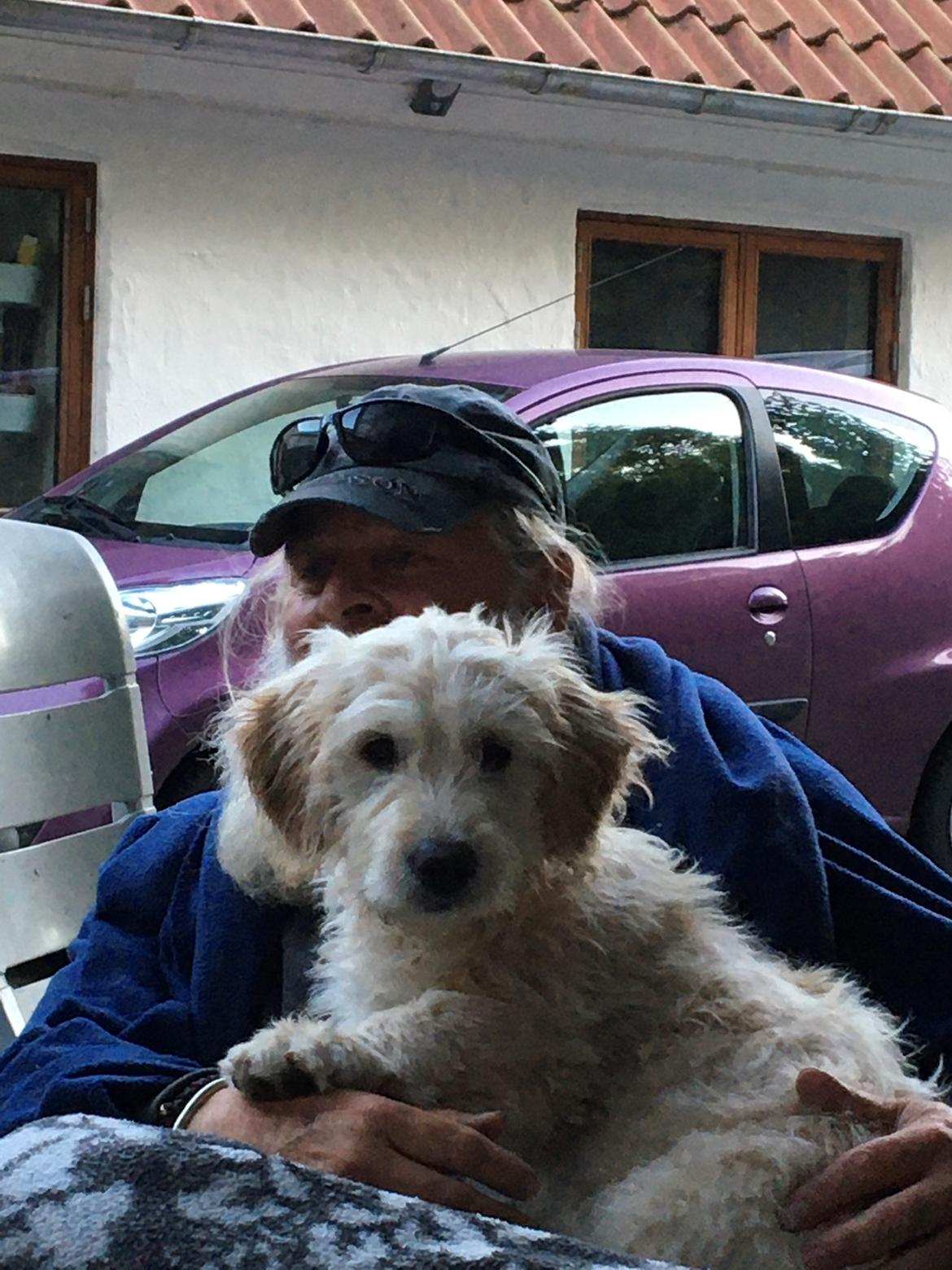 Blanding af racer Carla billede 19