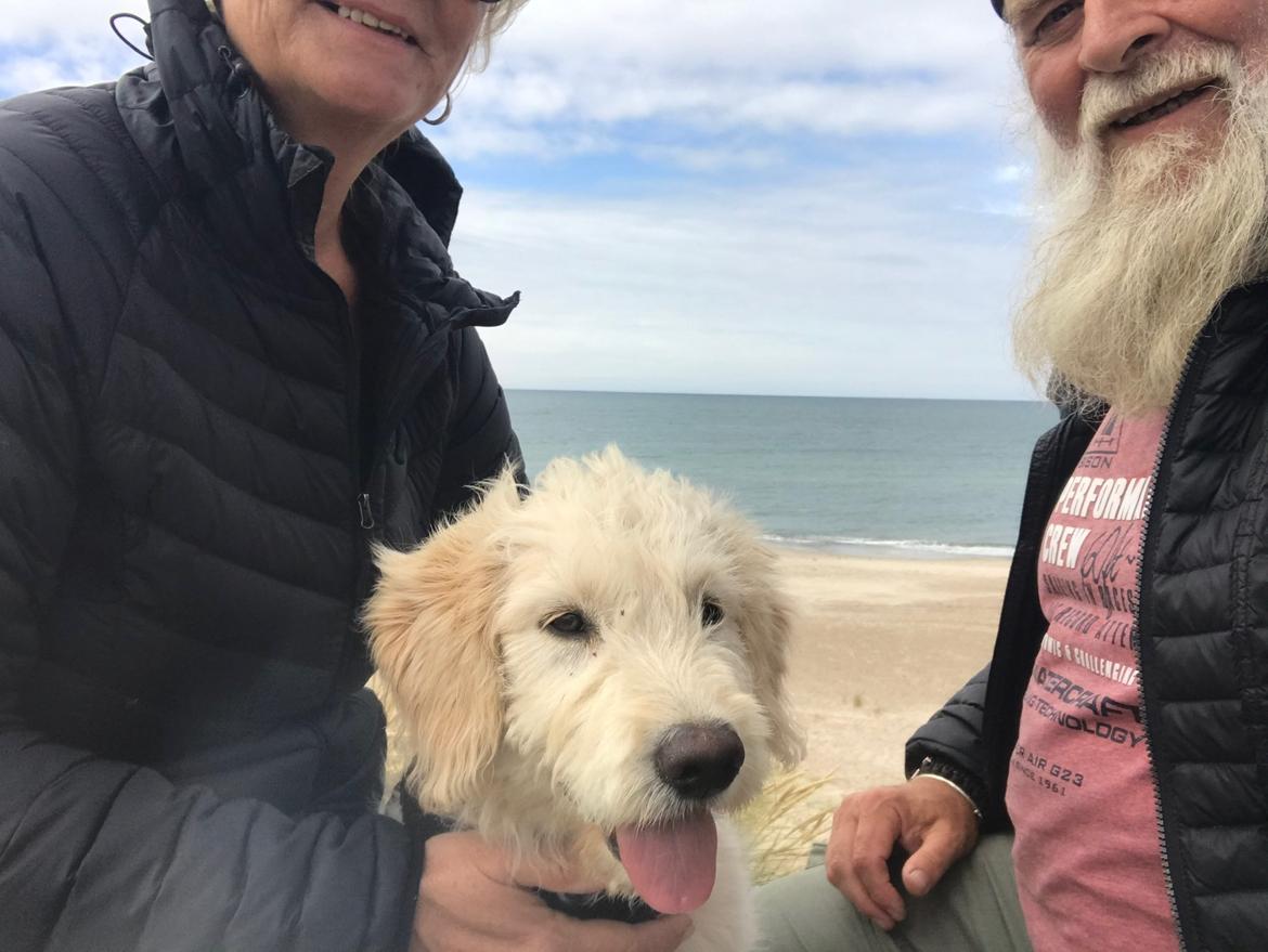 Blanding af racer Carla billede 18