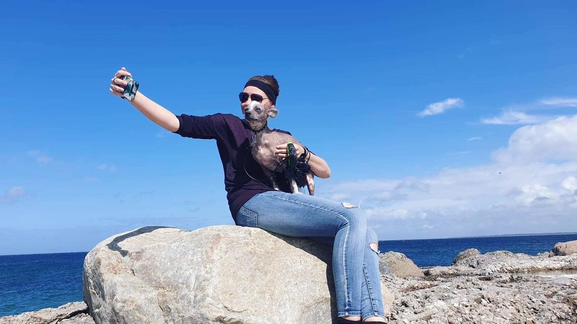 Chinese crested hårløs Spooky billede 36