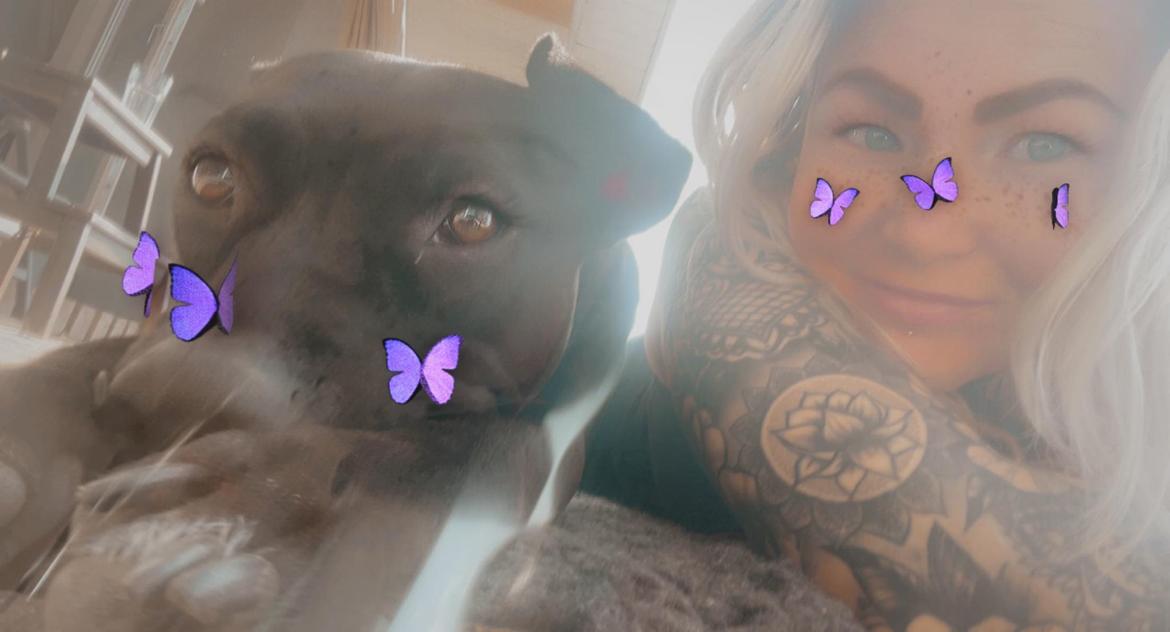 Blanding af racer Zindy billede 7