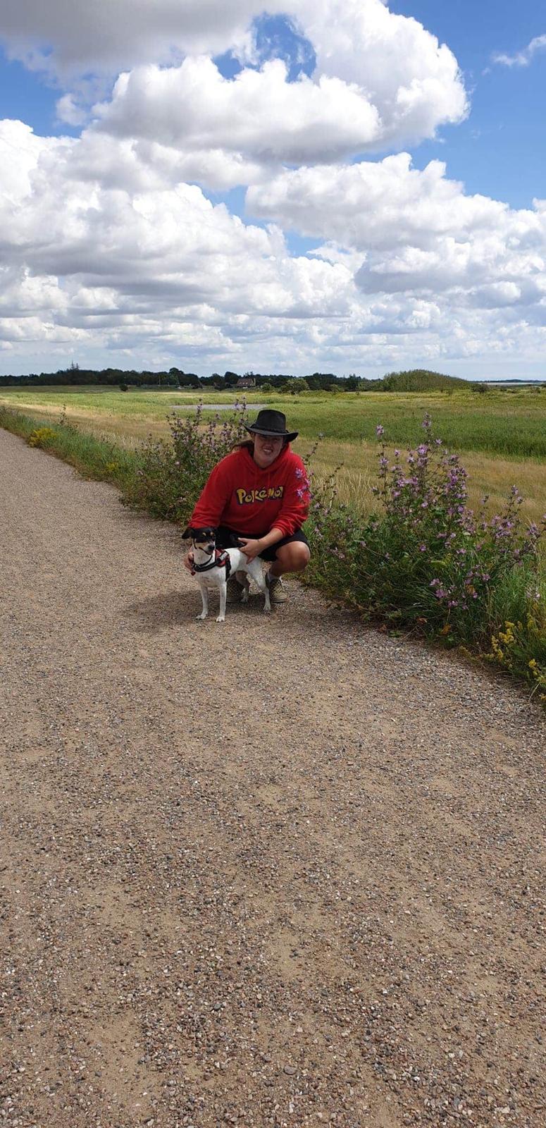 Dansk svensk gaardhund Luna billede 17