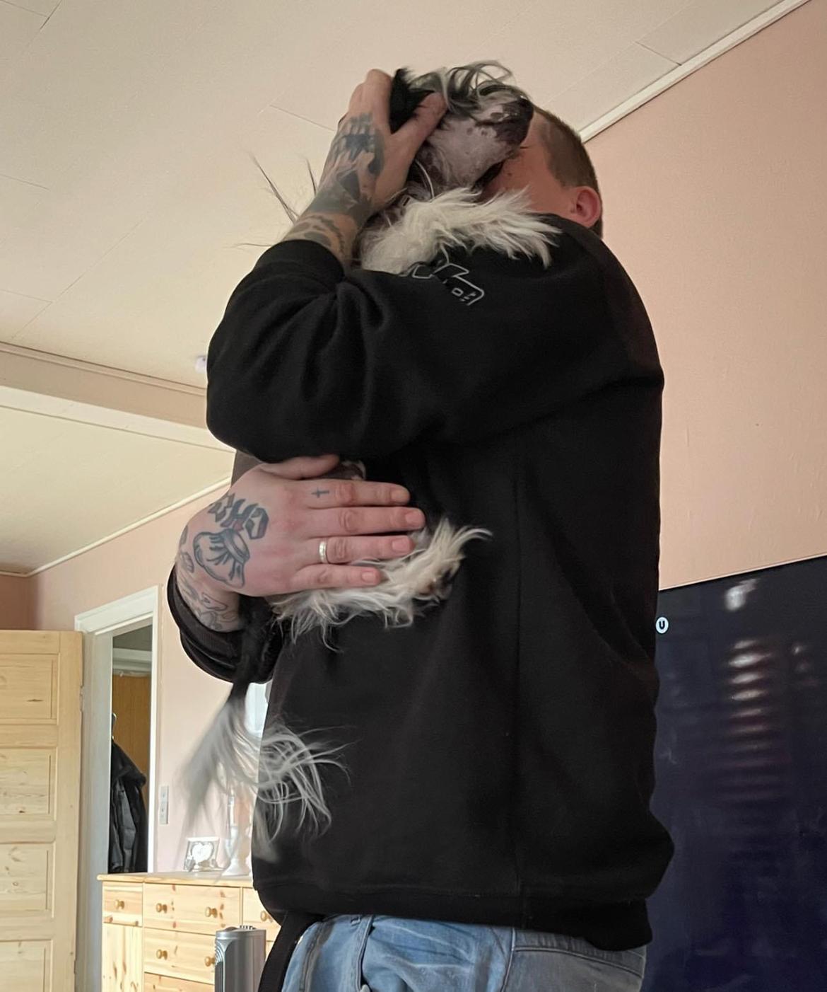 Chinese crested hårløs Sully billede 23