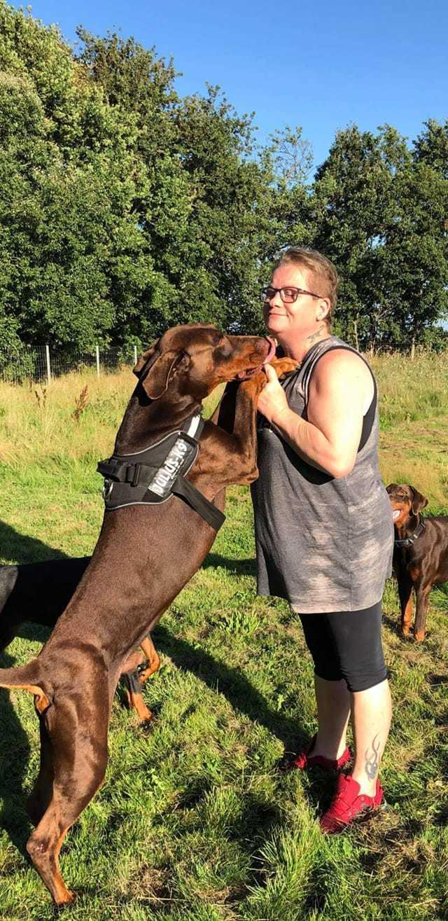 Dobermann Utah billede 5