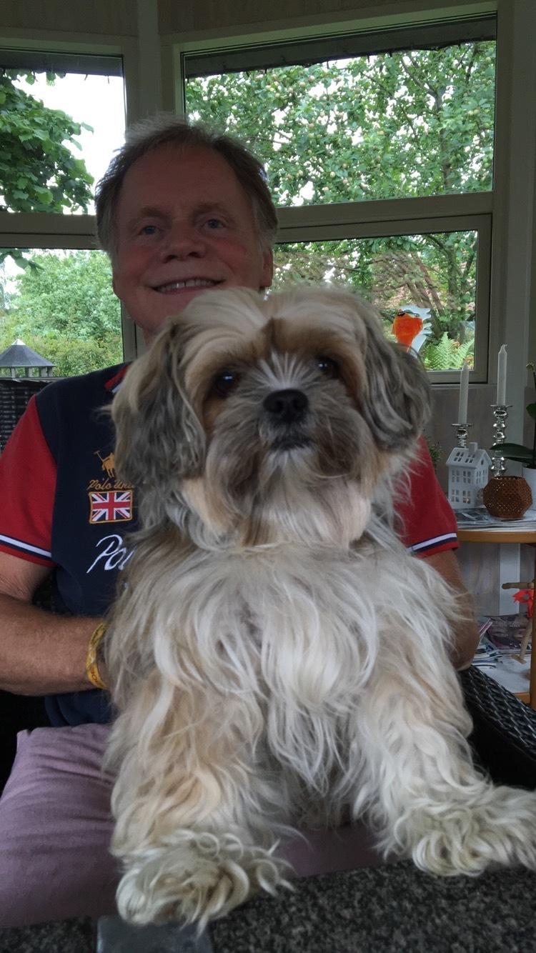 Blanding af racer Molly billede 9