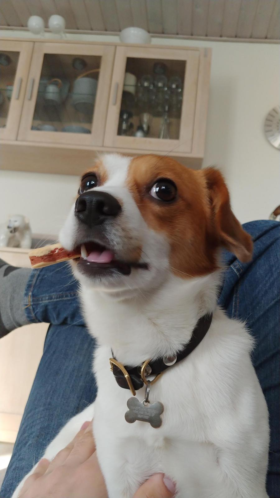 Blanding af racer Han hedder Felix  billede 21