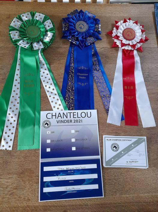 Rat Terrier Solgaards Buddy - Buddy Chantelou vinder 2021 billede 7