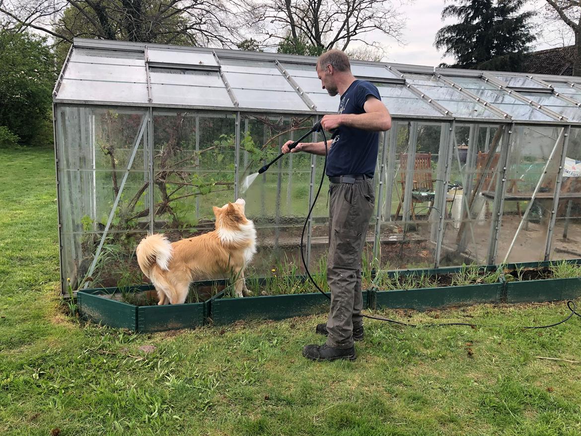 Blanding af racer Hammy billede 2