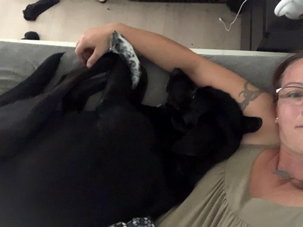 Blanding af racer Bell billede 6