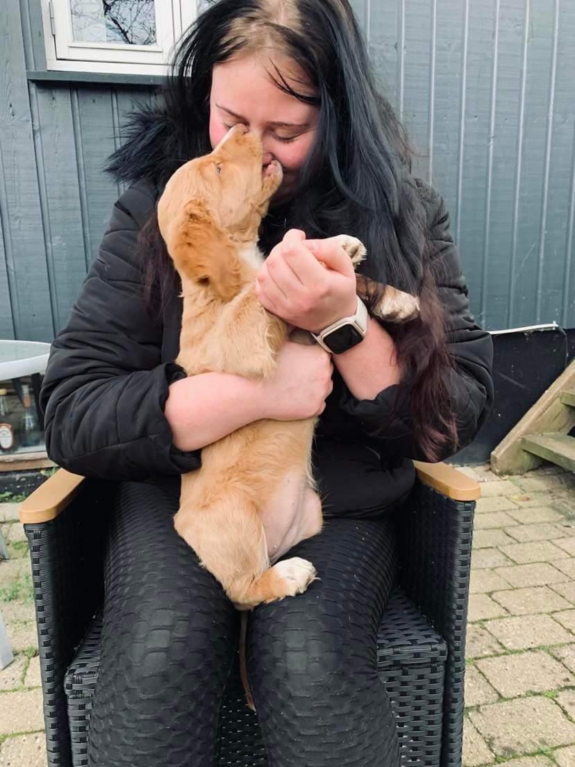 Blanding af racer Alba billede 6