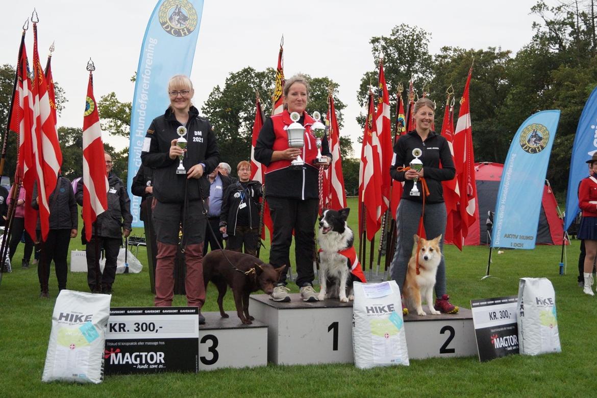 Blanding af racer Maisie billede 18