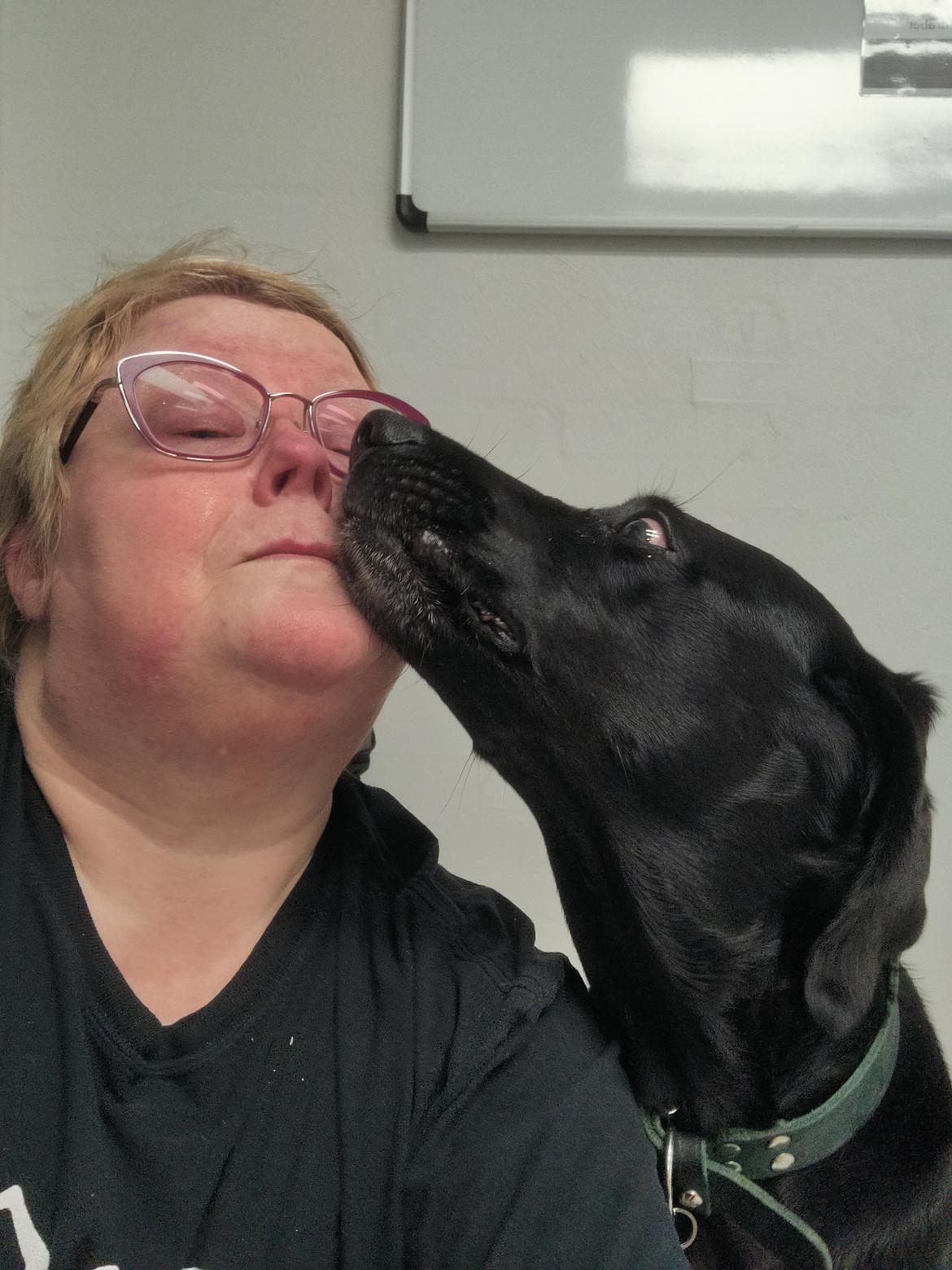 Blanding af racer Trixie - Trist dag billede 38