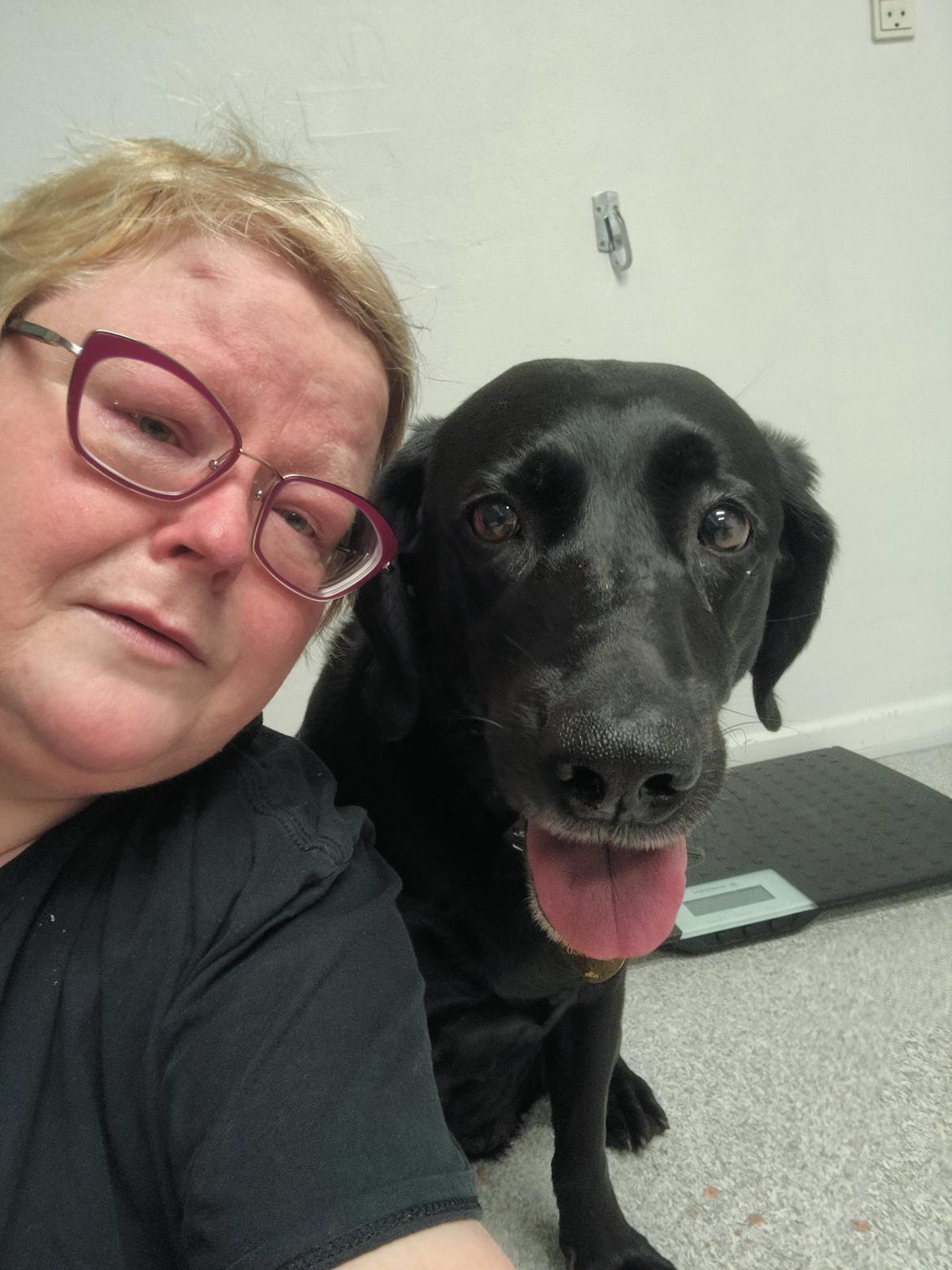 Blanding af racer Trixie - Trist dag billede 39