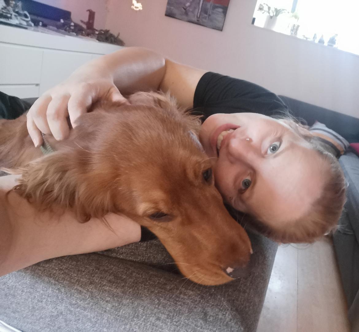 Field Trial Cockerspaniel Kapow  29 juni 2020 - December 2021 billede 15