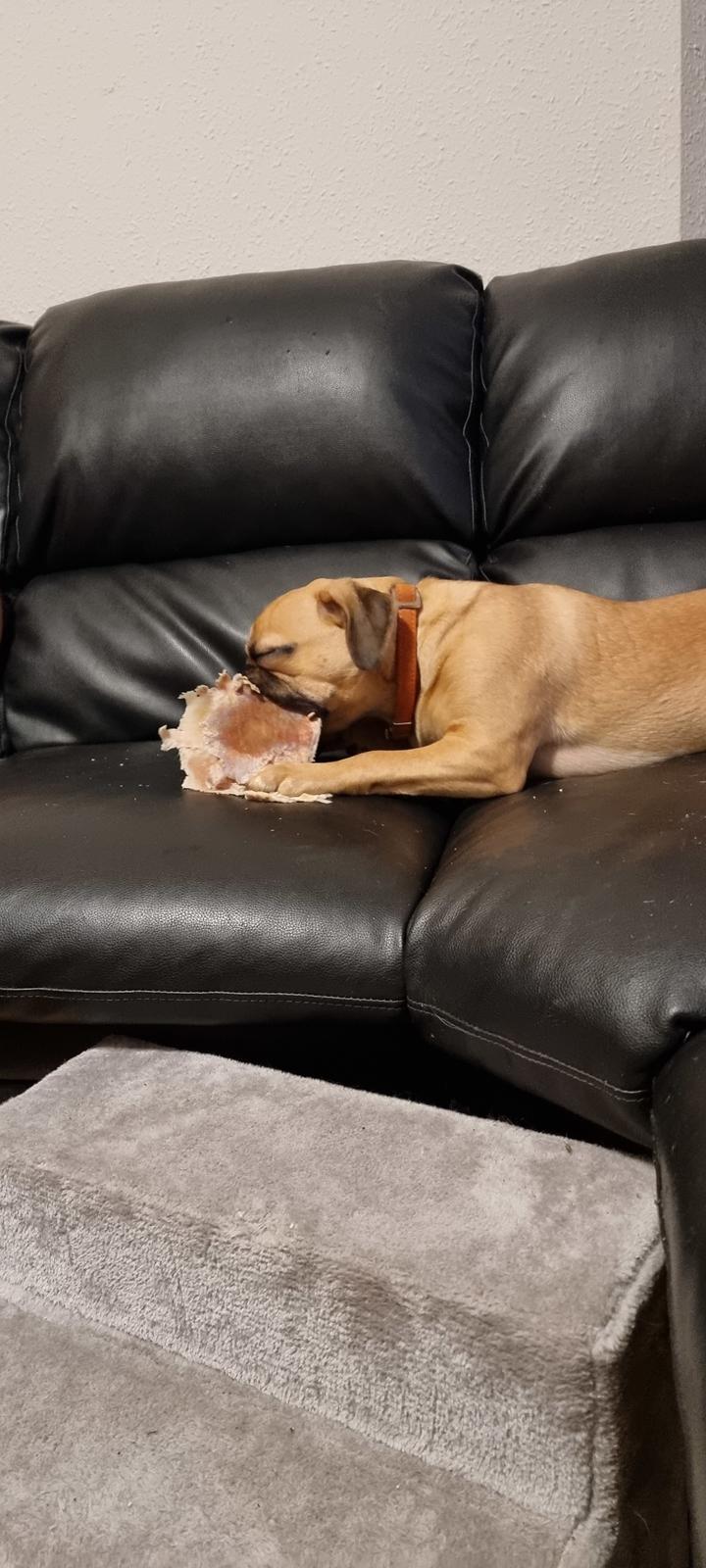 Blanding af racer Bailay billede 4