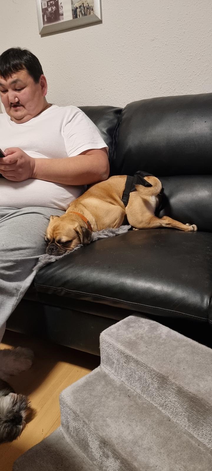 Blanding af racer Bailay billede 2