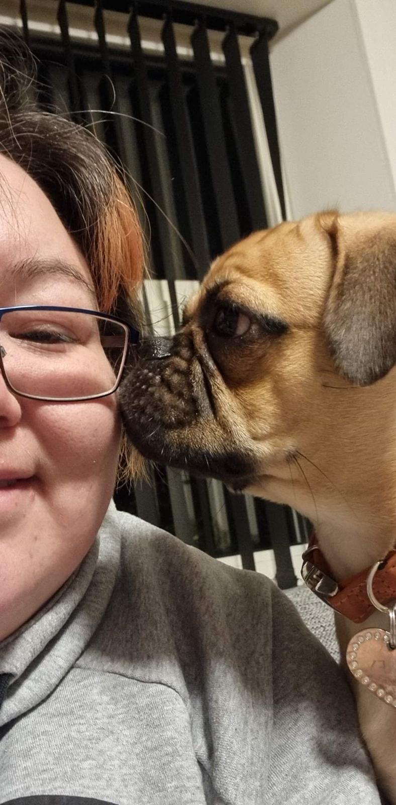 Blanding af racer Bailay billede 6