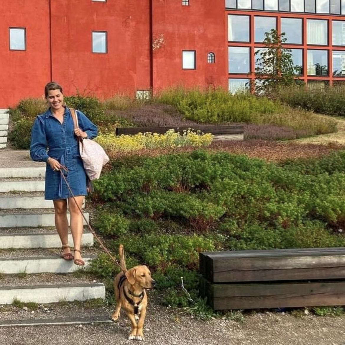 Blanding af racer Robbie billede 4