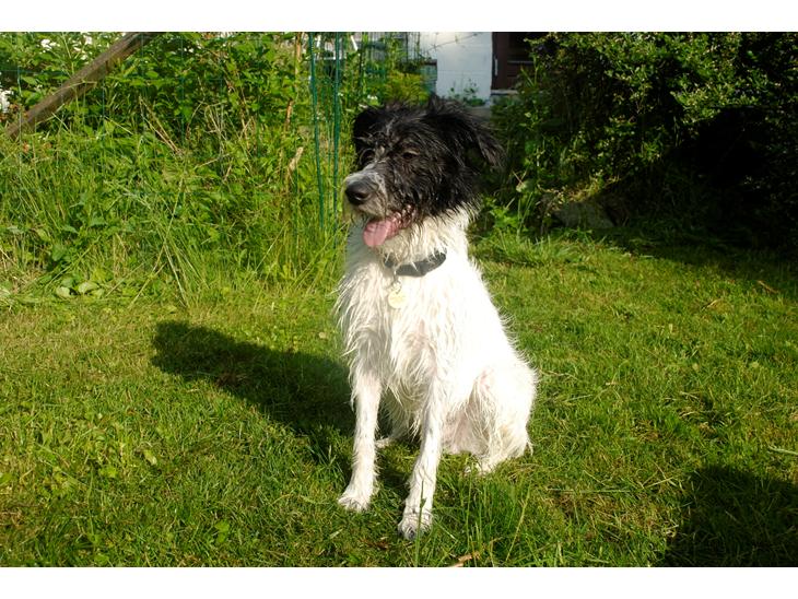 {{currentPhoto.altText}} billede {{currentPhoto.number}}