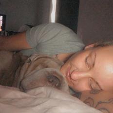 Shar pei Princess