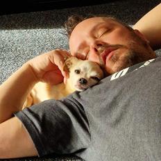 Chihuahua Ticco Martini (Englehund)