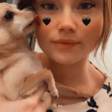 Chihuahua Ticco Martini (Englehund)