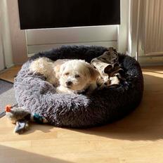 Blanding af racer Topper