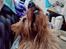 Australsk terrier Eddie 