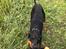 Dobermann Penny von Engelhardt
