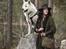 Blanding af racer Kodiak - Billede taget af Tales by Sipo