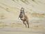 Whippet Falcon (Tanalorn Mr. Quade)
