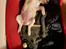 Labrador retriever Puk