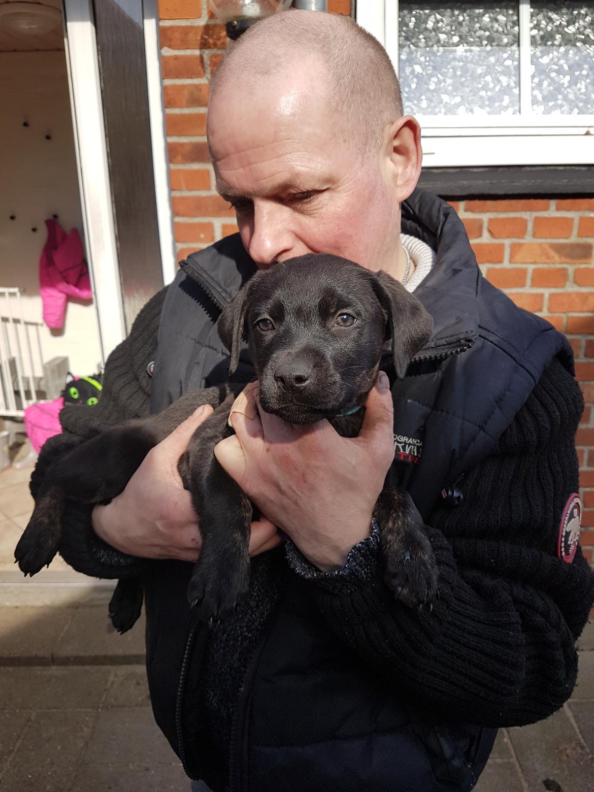 Blanding af racer Topper billede 6