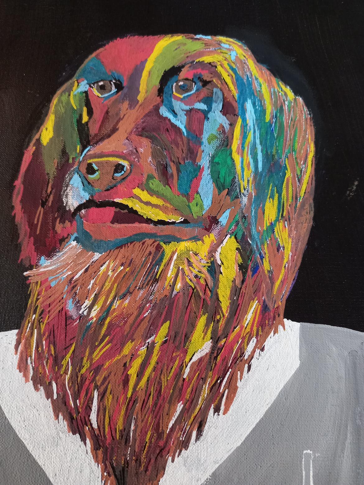 Kleiner münsterländer Balder billede 20