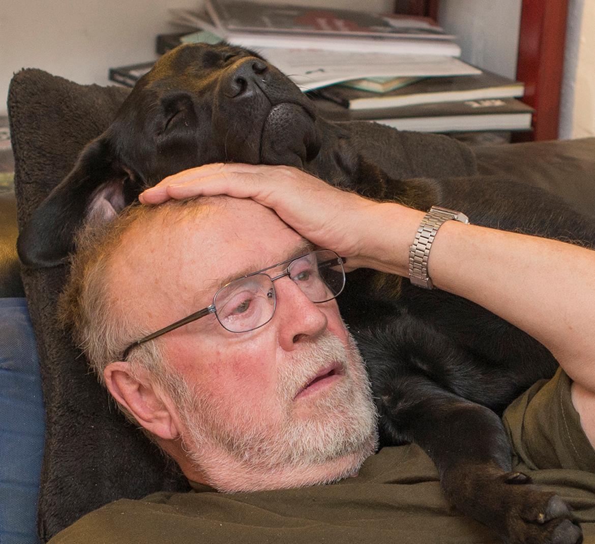 Labrador retriever Zenta billede 5