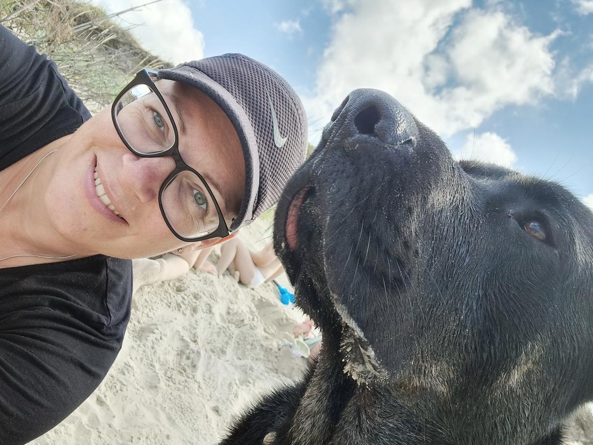 Blanding af racer Kalle billede 11